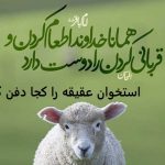 استخوان عقیقه را کجا دفن کنیم؟