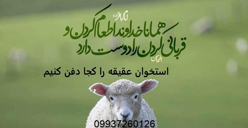 استخوان عقیقه را کجا دفن کنیم